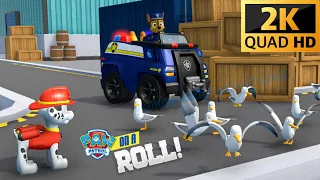 Paw Patrol On A Roll! 2K Quad HD #5 Marshall & Zuma & Chase