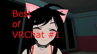 VRChat Funny Moments #1 it's just the beginning of a journey