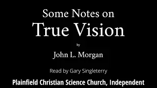 Some Notes on True Vision by John L  Morgan
