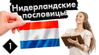 Урок 1. 50 Голландских пословиц  | Нидерландский (Голландский) язык с нуля.