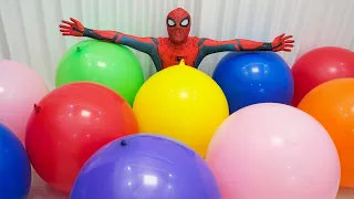 Spider Man Popping Giant Color Balloons!