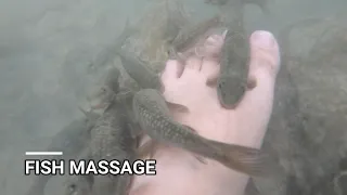 Swimming with fish | Fish massage | waterfall