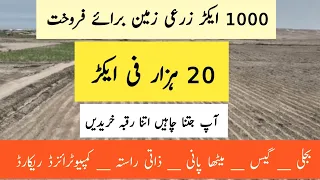 Agriculture land for sale in Pakistan | land for sale in Pakistan | zameen for sale in Pakistan