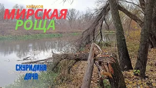 Харьков, Новожаново: Мирская Роща (Скуридина дача)