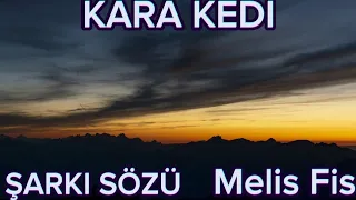 MELİS FİS - "KARA KEDİ"  (ŞARKI SÖZLERİ/LYRICS )