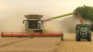 Getreideernte 2022/ Claas Lexion 770/ John Deere, Claas