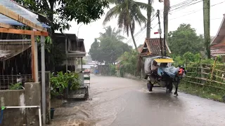 Super heavy rain and strong lightning in my village | Sleep instantly with the sound of heavy rain