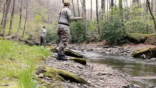 Small Stream Fly Fishing - North Carolina