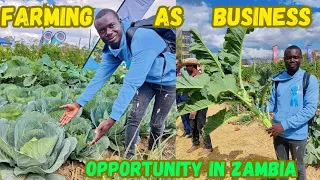 Why farming is one of the business opportunities in Zambia Africa