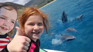 Swimming with WiLD DOLPHiNS!!  Ocean Adventure to Snorkel with a Dolphin Pod & Sea Turtles in Hawaii