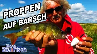 BESSER als GUMMI? Mit PROPPEN auf BARSCH - Unser Ziel ist Fisch mit Jörg Ovens- Folge 22