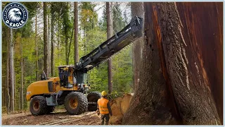 201 Incredible Fastest Big Chainsaw Cutting Tree Machines