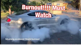 Ford Mustang Ecoboost Burnout