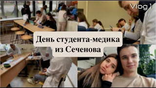 День студента-медика из Сеченова