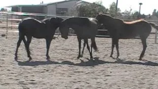 Meeting for the first time