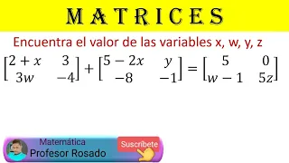 Encuentra el valor de las variables x, w, y, z  en las matrices| paso a paso