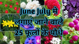 25 Flower Plants To Grow In June & July || जून जुलाई में लगाएं जाने वाले फूलों के पौधे