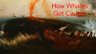 How Whales Got Caught, Bloody & Nasty!