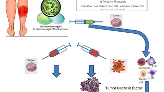 Basic concepts in immuno oncology