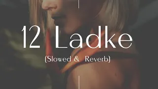 12 Ladke||Slowed+Reverb||Tony Kakkar, Neha kakkar