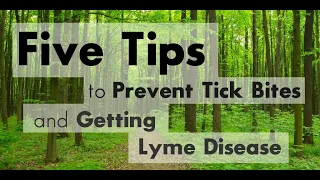 5 Tips to Prevent Tick Bites and Getting Lyme Disease | Johns Hopkins Medicine