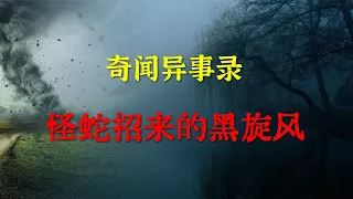 【灵异事件】怪蛇招来的黑旋风   |  鬼故事 | 灵异诡谈 |  恐怖故事 | 解压故事 | 睡前别忘来段小故事 「灵异电台」