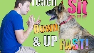 How to Teach Your Dog Sit, Down, Up and Stand in MINUTES!