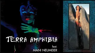 TERRA AMPHIBIA - Where Is The Tiger (Feat. Mani Neumeier)