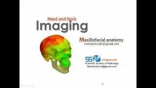 Prof.Mamdouh Mahfouz -  Craimofacial anatomy -  Sohag