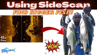 Lake Lanier Bass Fishing Use SideScan to Find BIG FISH! Always do this!