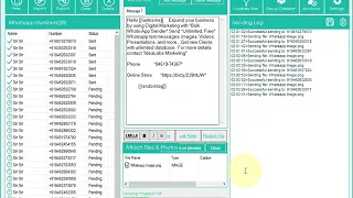 Bulk Whatsapp Sender Video