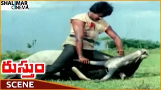 Rustum Movie || Chiranjeevi Superb Fight With Bull || Chiranjeevi, Urvashi || Shalimarcinema