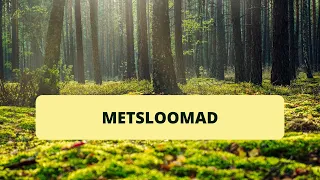 Metsloomad