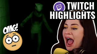 TWITCH HIGHLIGHTS | Portal Ending First Reaction