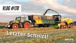 Vlog #170 Letzter Schnitt geht los! Ich fahre Schwader!