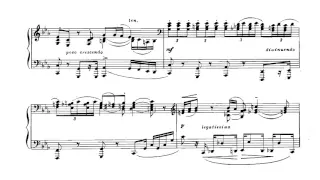 Nikolai Medtner ‒ 2 Skazki, Op.48