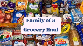 WHAT DOES A FAMILY OF 3 SPEND ON GROCERIES || WALMART HAUL || COSTCO HAUL || KROGER HAUL