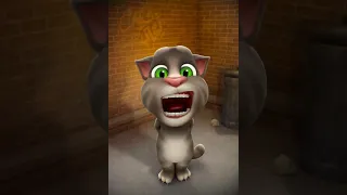 Talking Tom sings Sugar Rush