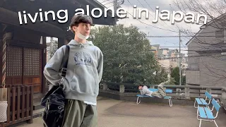 a day in my life living alone in japan