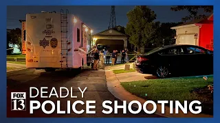 Man killed in deadly police shooting after domestic violence incidents