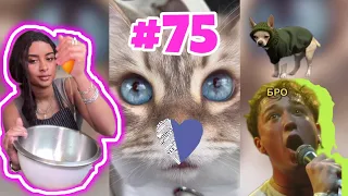 Memes & music #75 2024 | На пів смішні і цікаві відео приколи з Instagram і музикою | Tiktok
