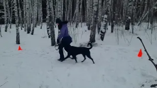 упражнение "побежали"