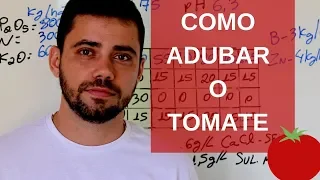 Como adubar o tomate - recomendação completa | passo a passo