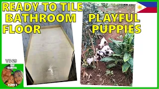 V569 - READY TO TILE BATHROOM FLOOR - PLAYFUL CUTE PUPPIES - THE GARCIA FAMILY