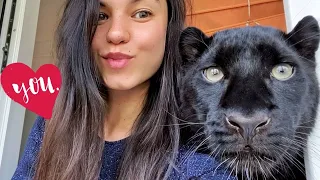 🎉💐 (Eng Subs) Birthday of Luna the panther /summer aviary for Luna and Venza