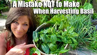 How NOT to Harvest Basil