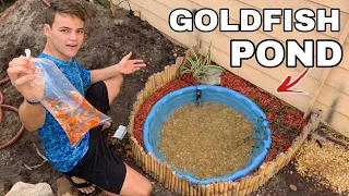 The Mini BackYard GOLDFISH Pond!!!