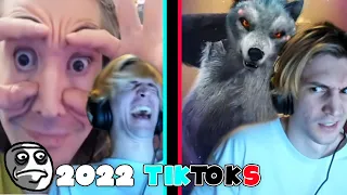 Tiktoks That Made xQc Aware (ft. Moxy, Poke, and Chat)