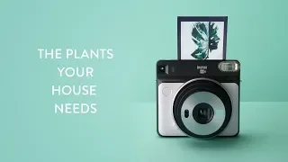 The Plants Your House Needs