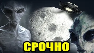 ЭТИ КАДРЫ ЗАПРЕЩЕНЫ ДЛЯ СЛАБОНЕРВНЫХ!!! 05.06.2022!!! СПЕЦВЫПУСК!!!